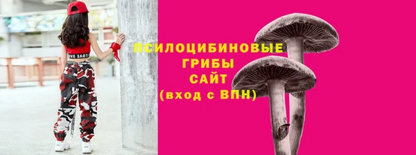 твердый Алзамай