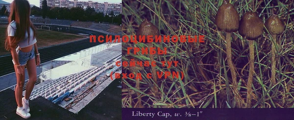 спайс Алексин