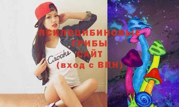 спайс Алексин