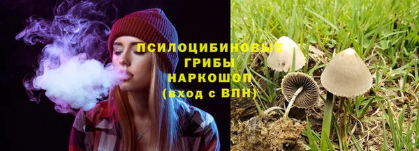 твердый Алзамай